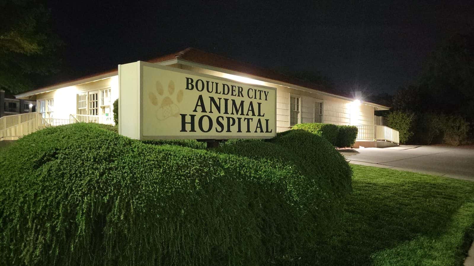 Boulder City Animal Hospital — Pet Services photo 2 of 5