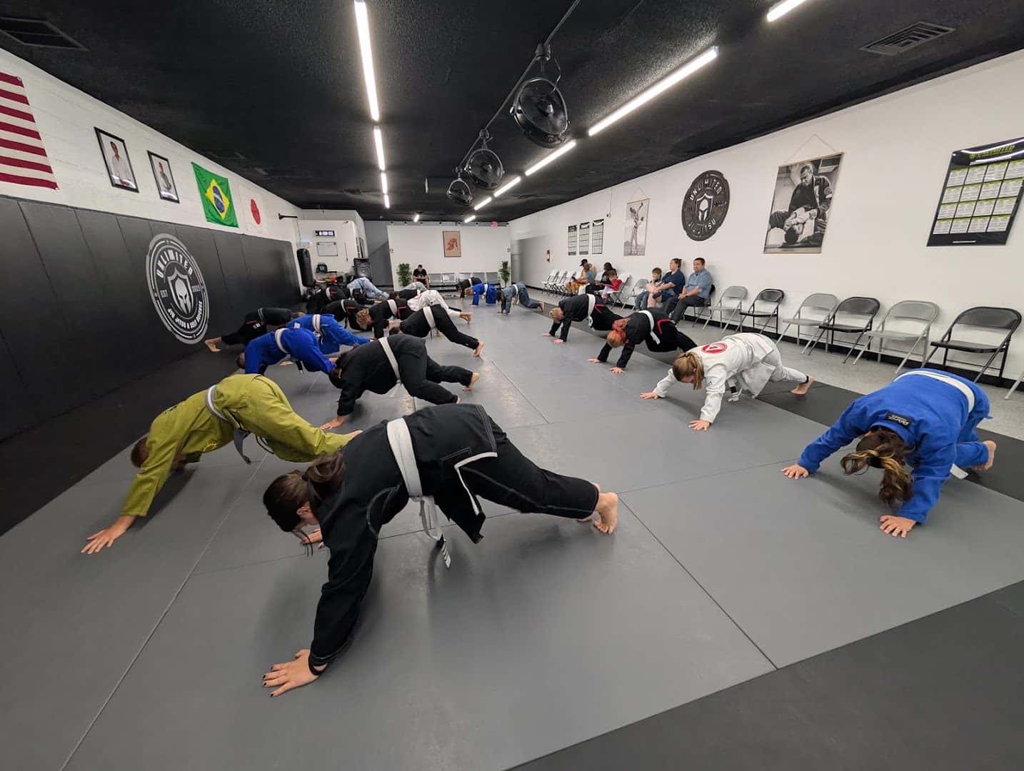 AE UNLTD JIU JITSU — Fitness & Gyms photo 1 of 5