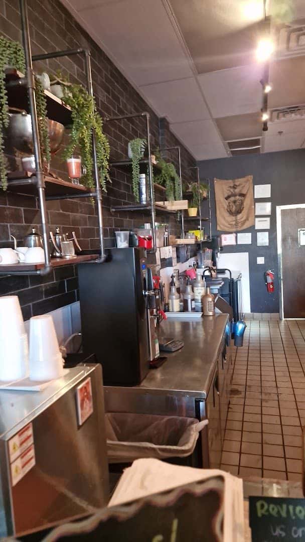 Bad Owl Coffee — Coffee Shops & Cafes photo 2 of 5
