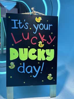 Lucky Ducky Claw Arcade