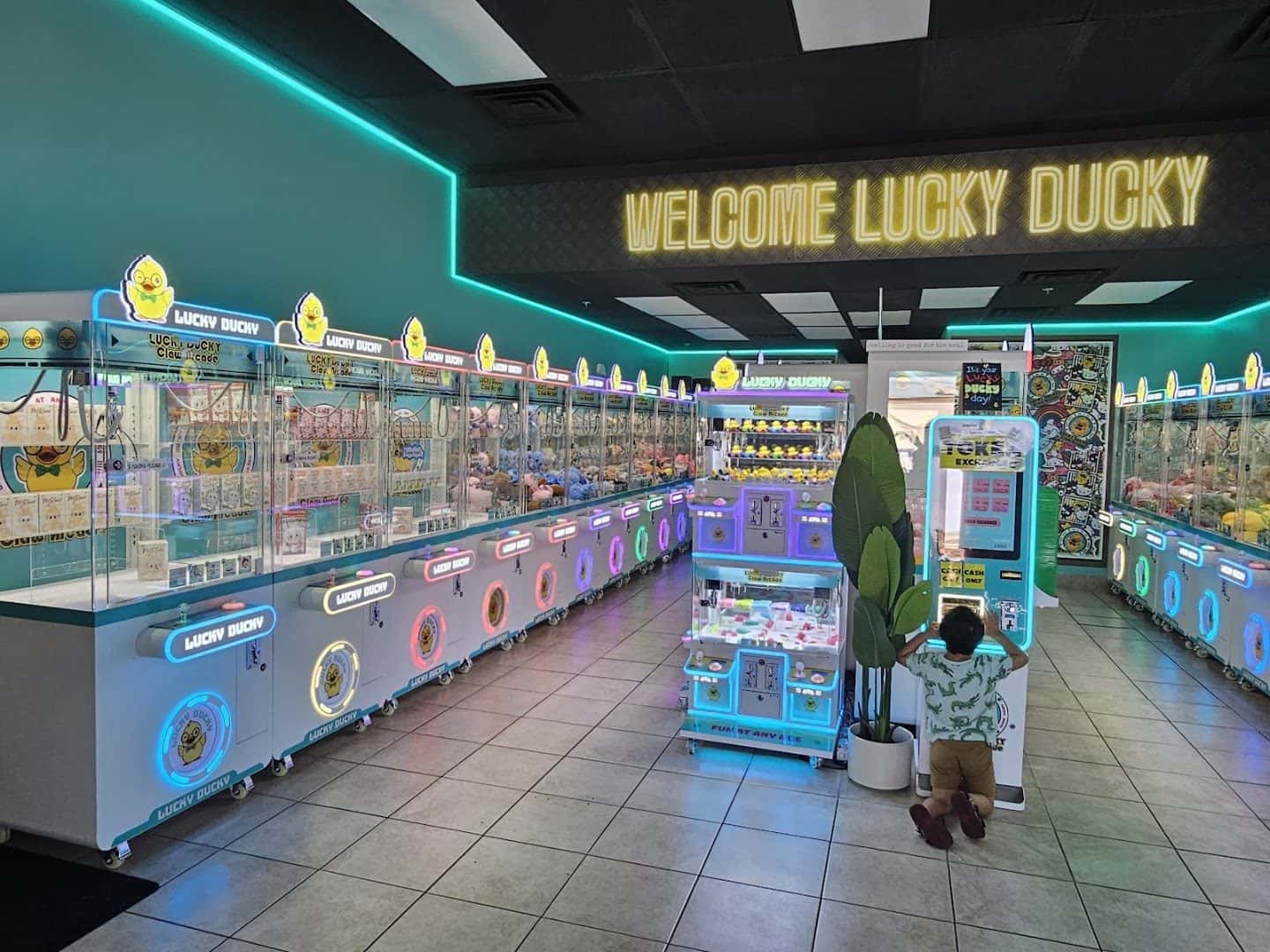 Lucky Ducky Claw Arcade — Family Fun & Recreation photo 3 of 5