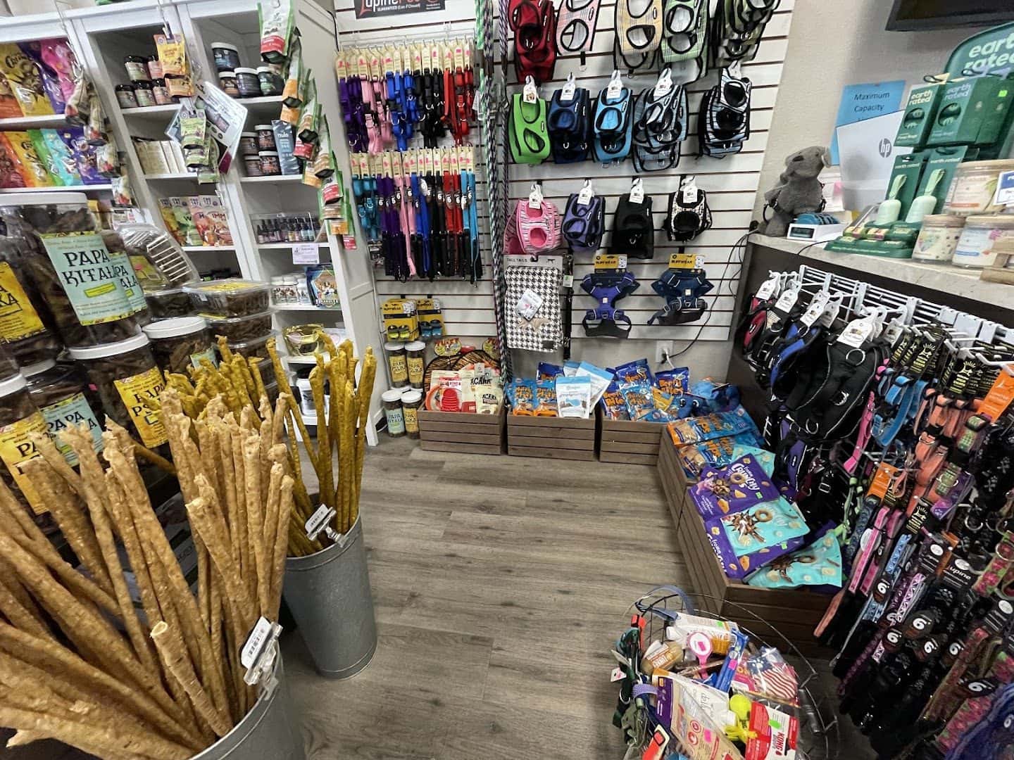 All About Paws — Pet Services photo 2 of 5