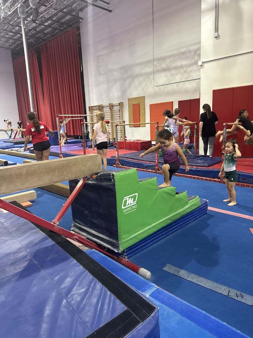 GYMCATS — Family Fun & Recreation photo 1 of 5