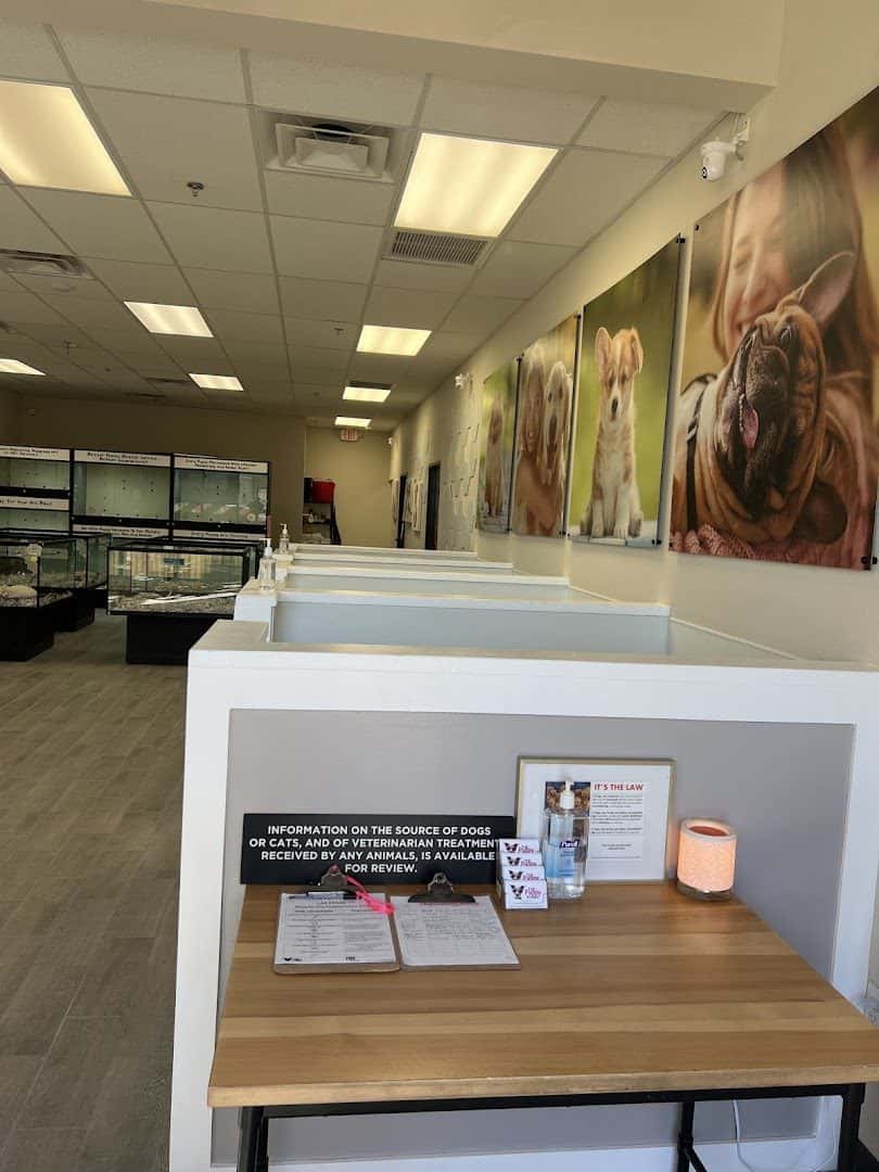 The Puppy Store Las Vegas — Retail & Boutiques photo 3 of 5