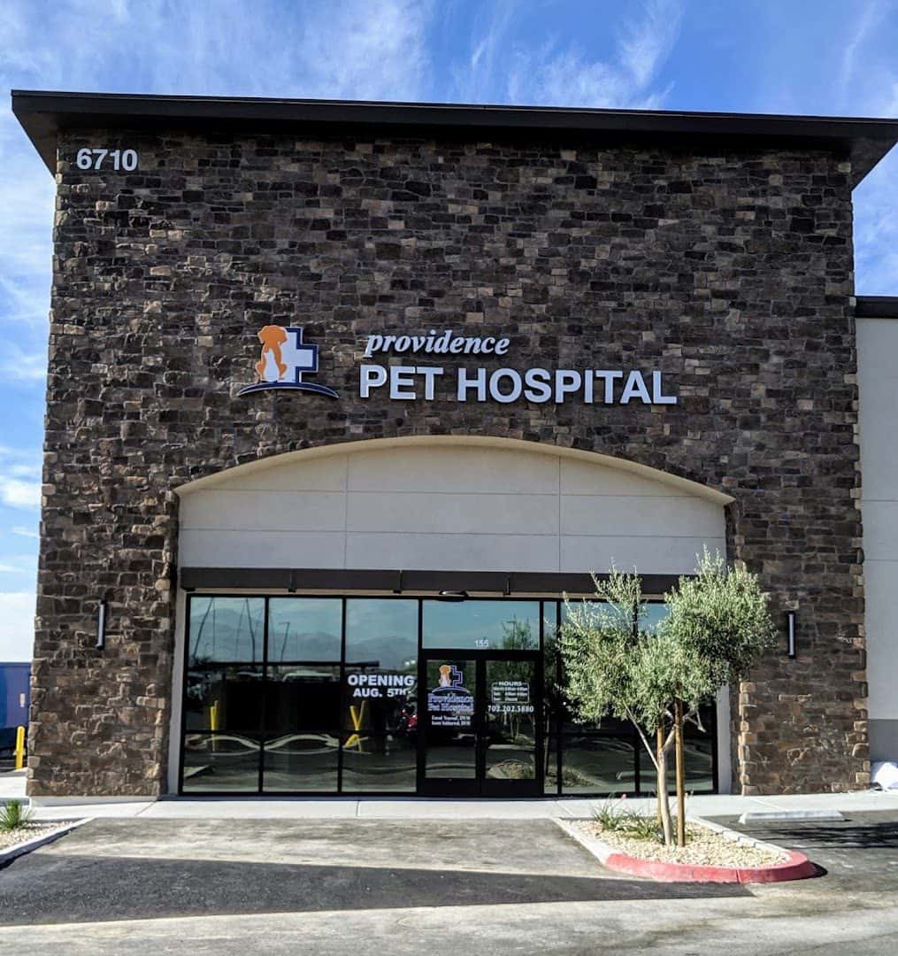 Providence Pet Hospital — Pet Services photo 2 of 5