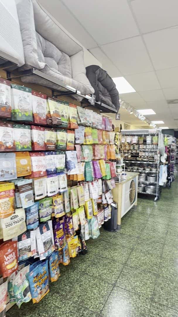 Healthy Tails LV — Retail & Boutiques photo 2 of 5