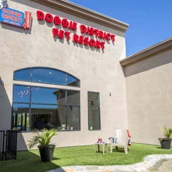 Doggie District - Craig Road — Pet Services photo 1 of 5