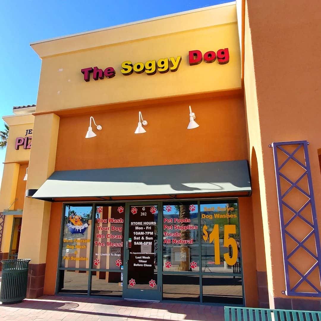The Soggy Dog — Pet Services photo 3 of 5