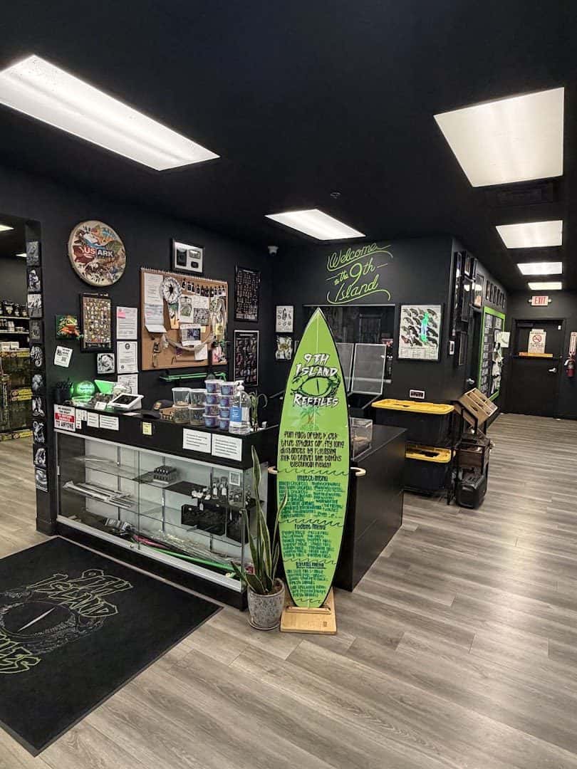 9th Island Reptiles — Retail & Boutiques photo 1 of 5