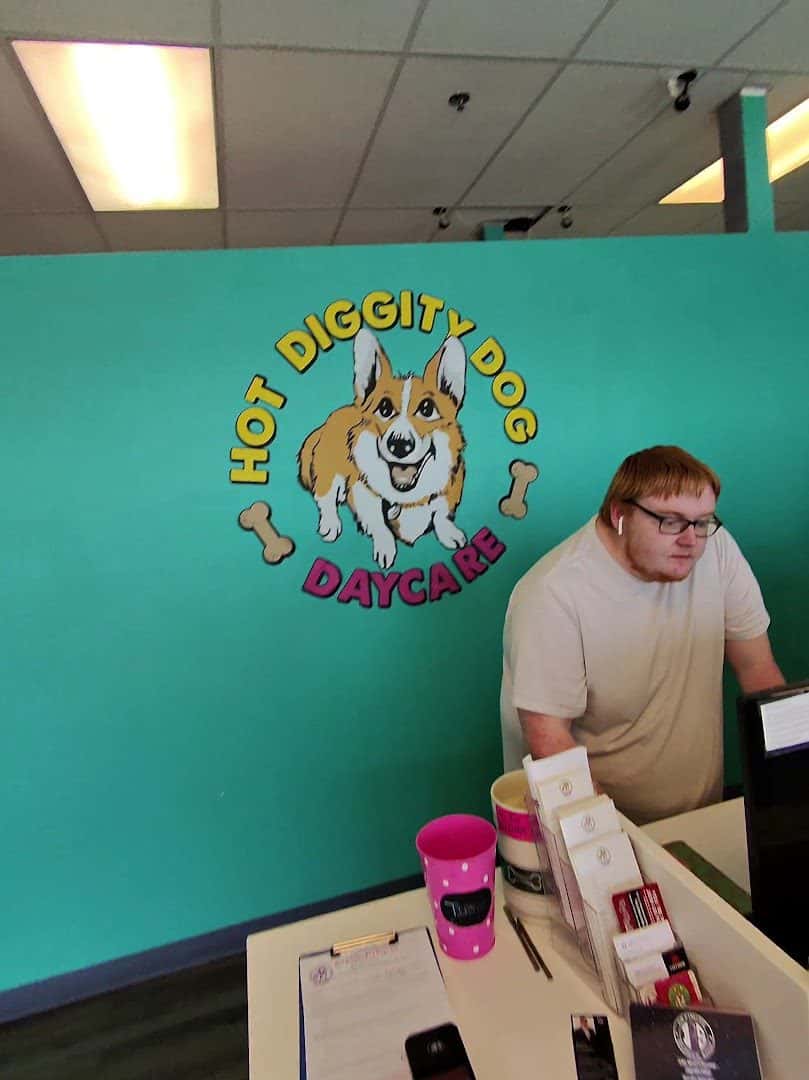 Hot Diggity Dog Daycare — Childcare & Schools photo 2 of 5