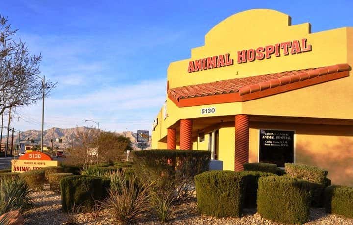Camino al Norte Animal Hospital