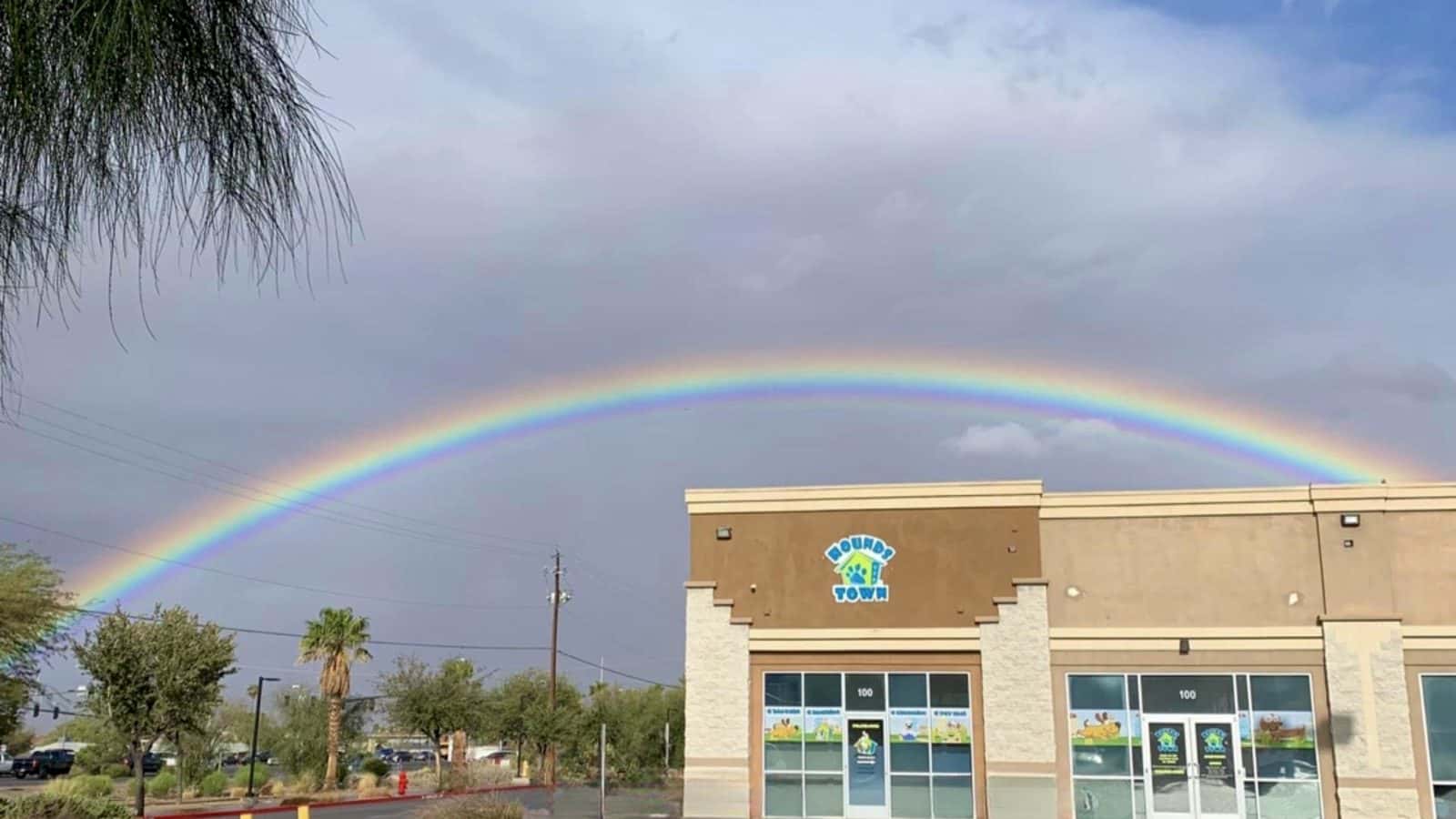 Hounds Town - Henderson — Childcare & Schools photo 1 of 5
