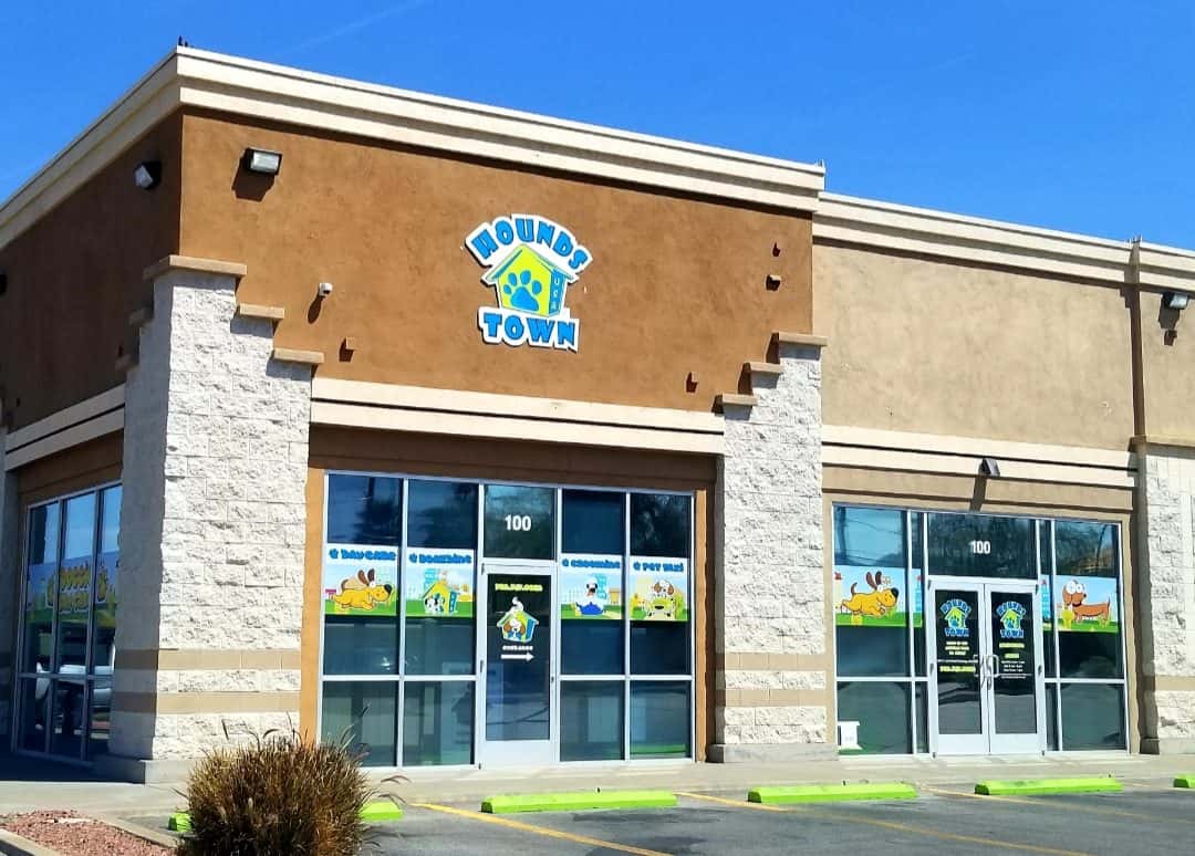 Hounds Town - Henderson — Childcare & Schools photo 2 of 5