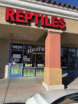 Scales 'N Tails Las Vegas
