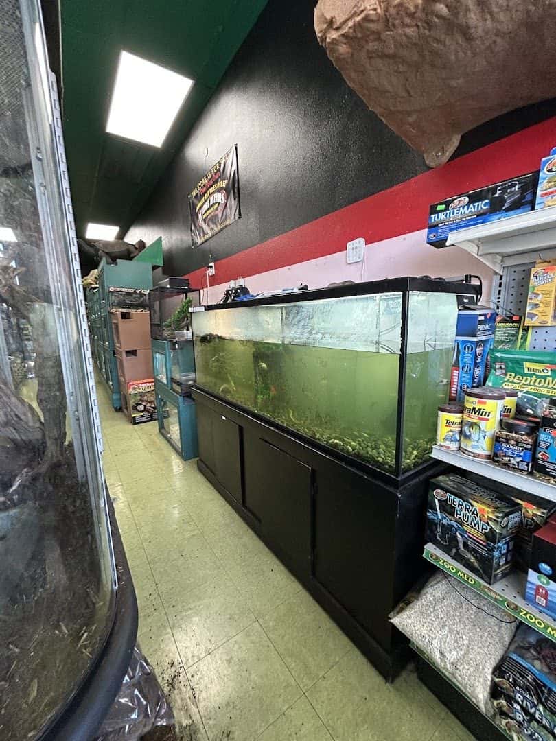 Scales 'N Tails Las Vegas — Retail & Boutiques photo 3 of 5