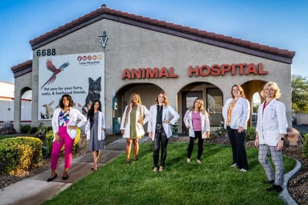 Lone Mountain Animal Hospital — Pet Services photo 1 of 5