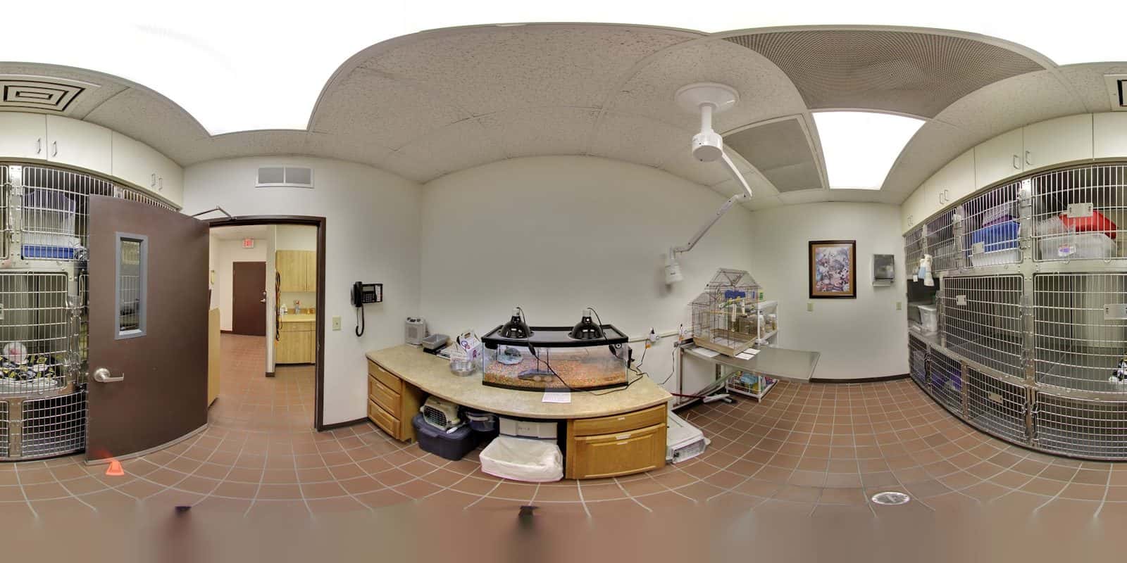 Lone Mountain Animal Hospital — Pet Services photo 2 of 5