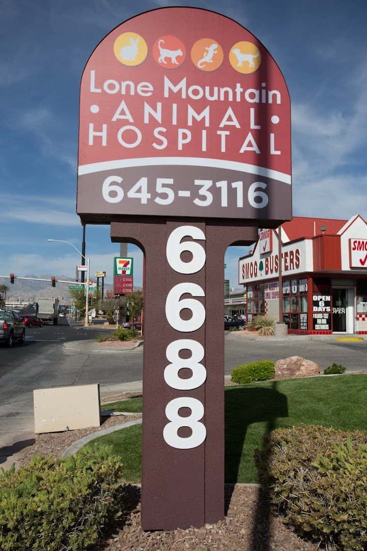 Lone Mountain Animal Hospital — Pet Services photo 3 of 5
