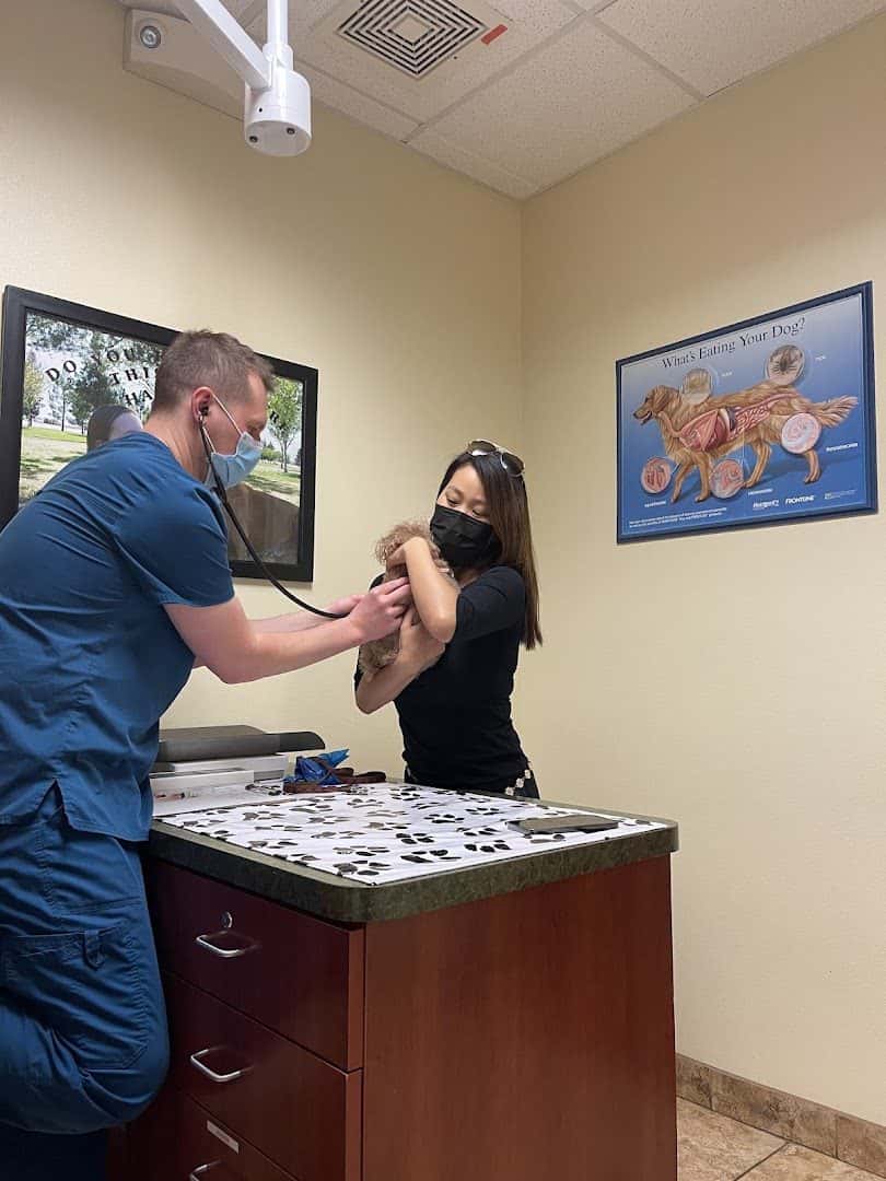 Cheyenne West Animal Hospital — Pet Services photo 3 of 5
