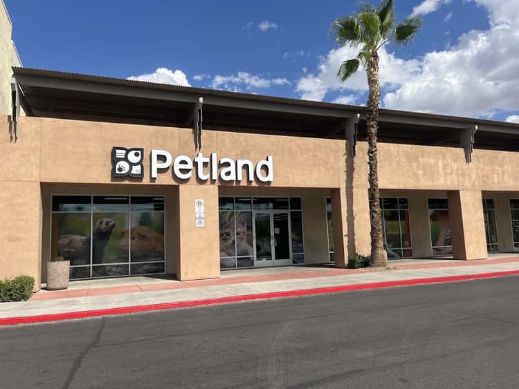 Petland Las Vegas