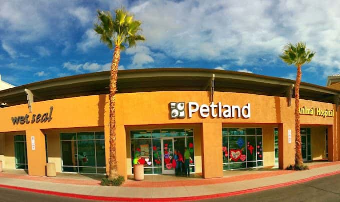 Petland Las Vegas — Retail & Boutiques photo 3 of 5