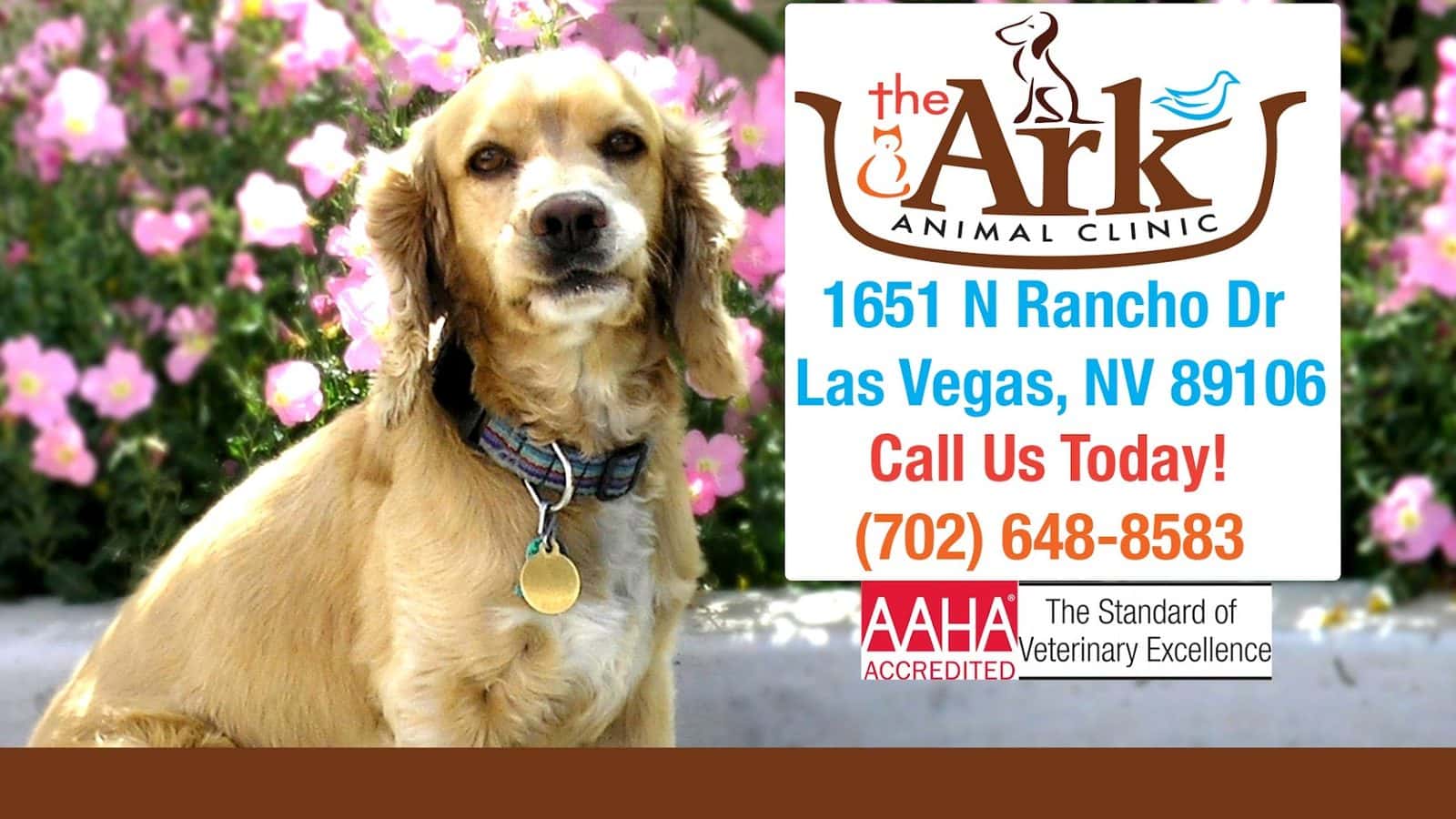 The Ark Animal Clinic — Pet Services photo 1 of 5