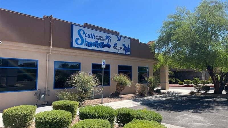 South Shores Animal Hospital — Childcare & Schools photo 1 of 5