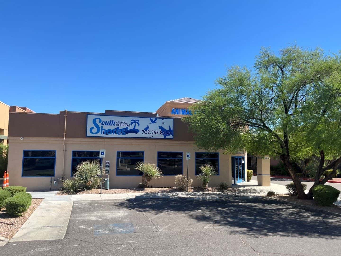 South Shores Animal Hospital — Childcare & Schools photo 2 of 5