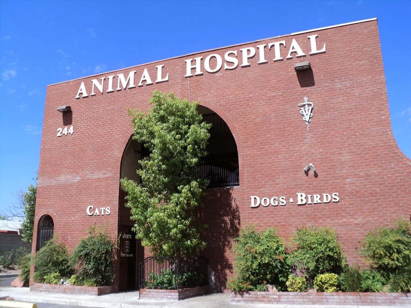 Rainbow Animal Hospital — Pet Services photo 1 of 5
