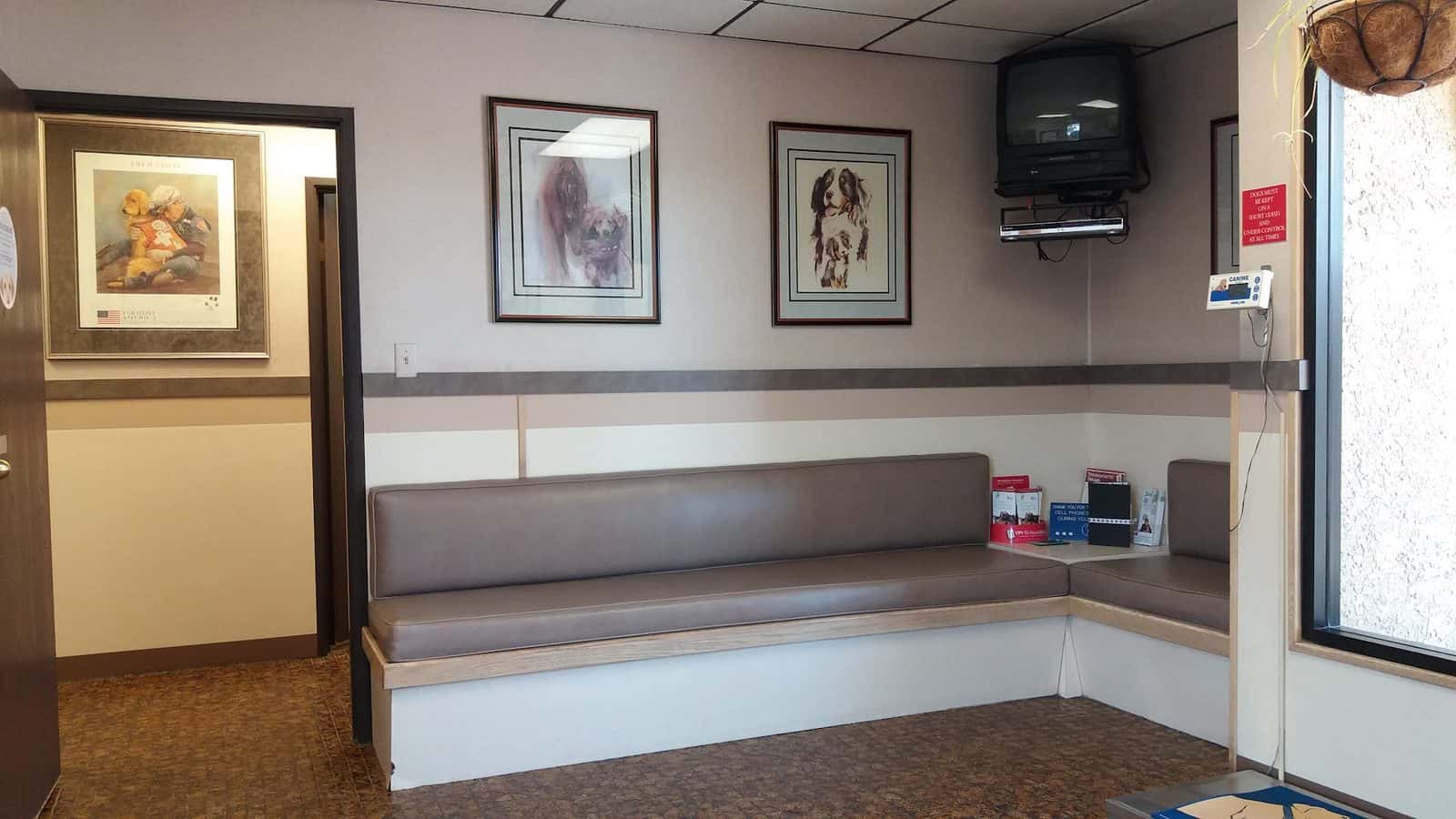 Rainbow Animal Hospital — Pet Services photo 3 of 5