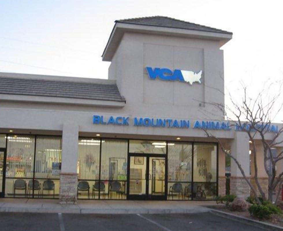 VCA Black Mountain Animal Hospital — Pet Services photo 1 of 5