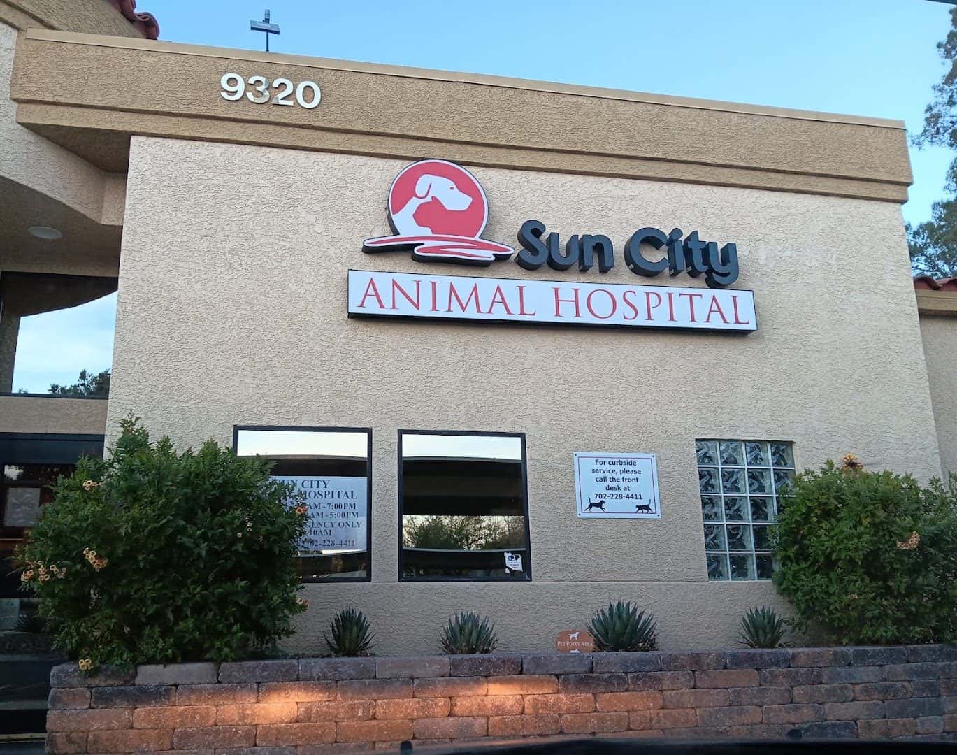 Sun City Animal Hospital — Pet Services photo 3 of 5