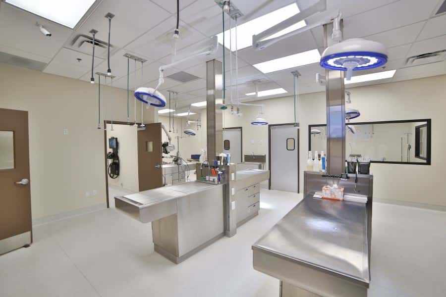 Inspirada Animal Hospital — Pet Services photo 3 of 5
