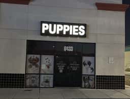 Puppy Heaven - Teacup & Toy Puppies for Sale