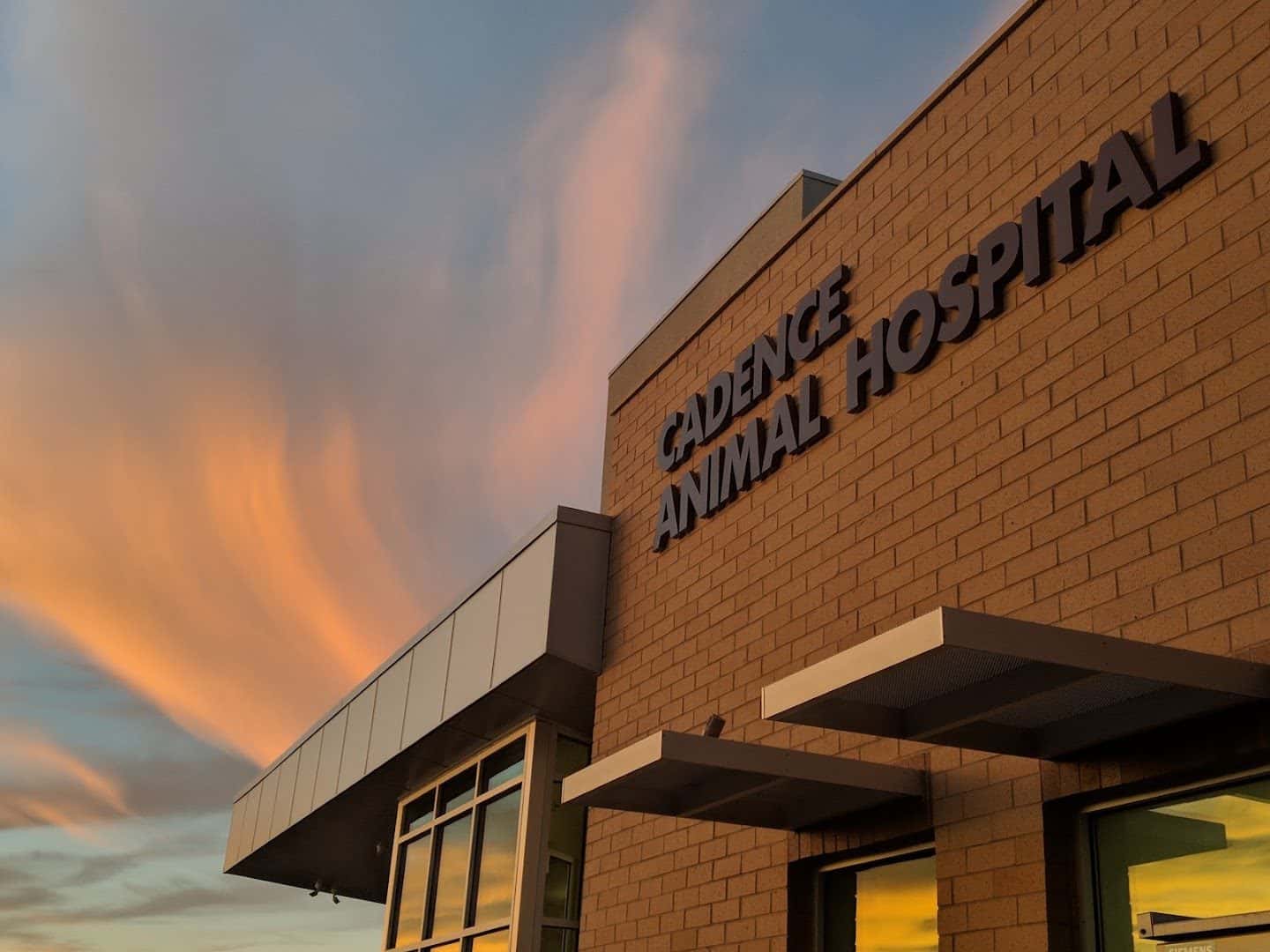 Cadence Animal Hospital — Pet Services photo 1 of 5