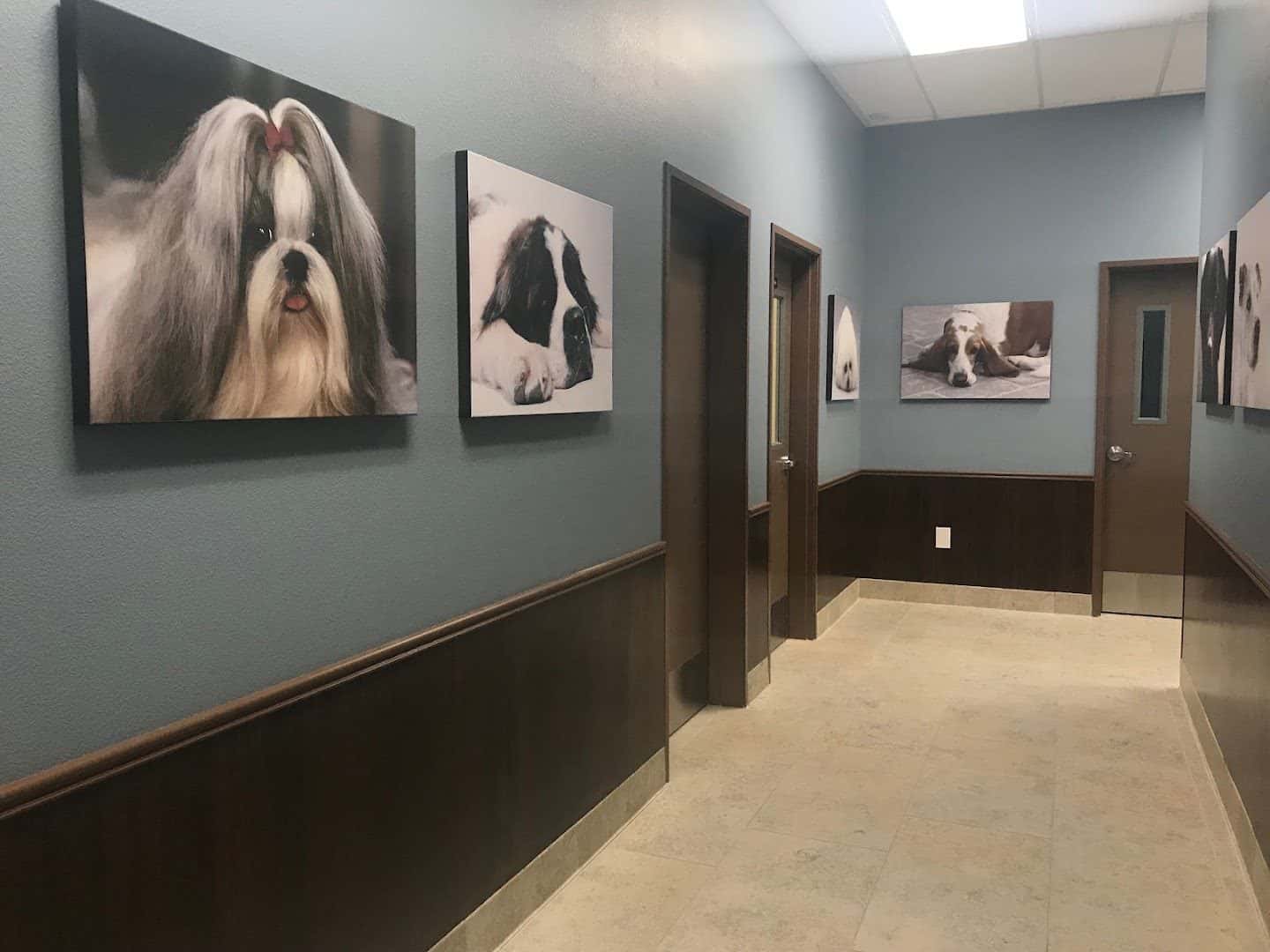 Cadence Animal Hospital — Pet Services photo 2 of 5