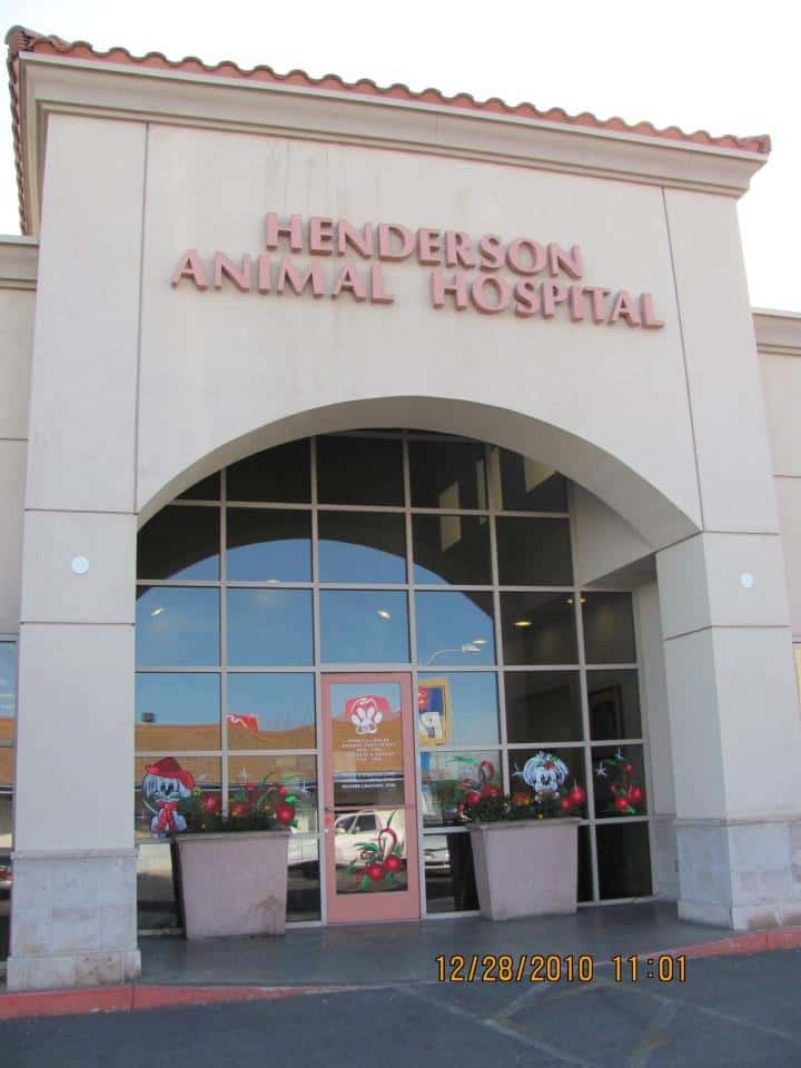 Henderson Animal Hospital — Pet Services photo 1 of 5