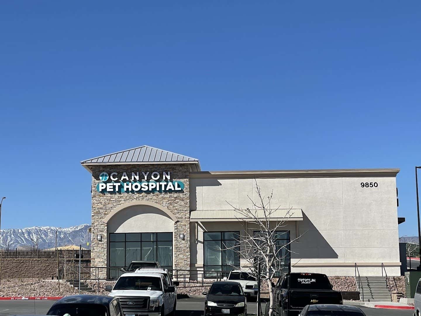 Canyon Pet Hospital — Pet Services photo 1 of 5