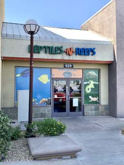 LLLReptile & Supply Henderson