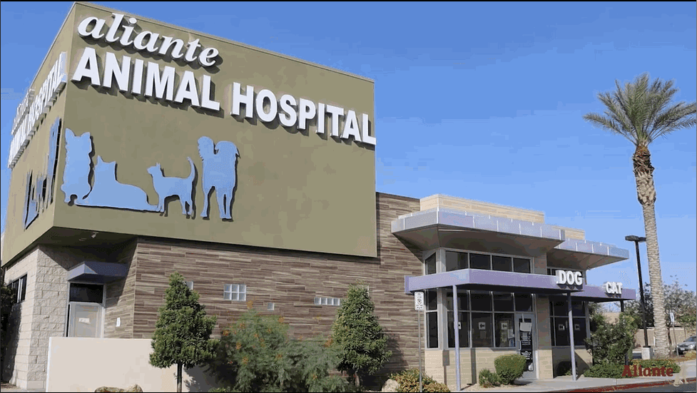 Aliante Animal Hospital — Pet Services photo 1 of 5