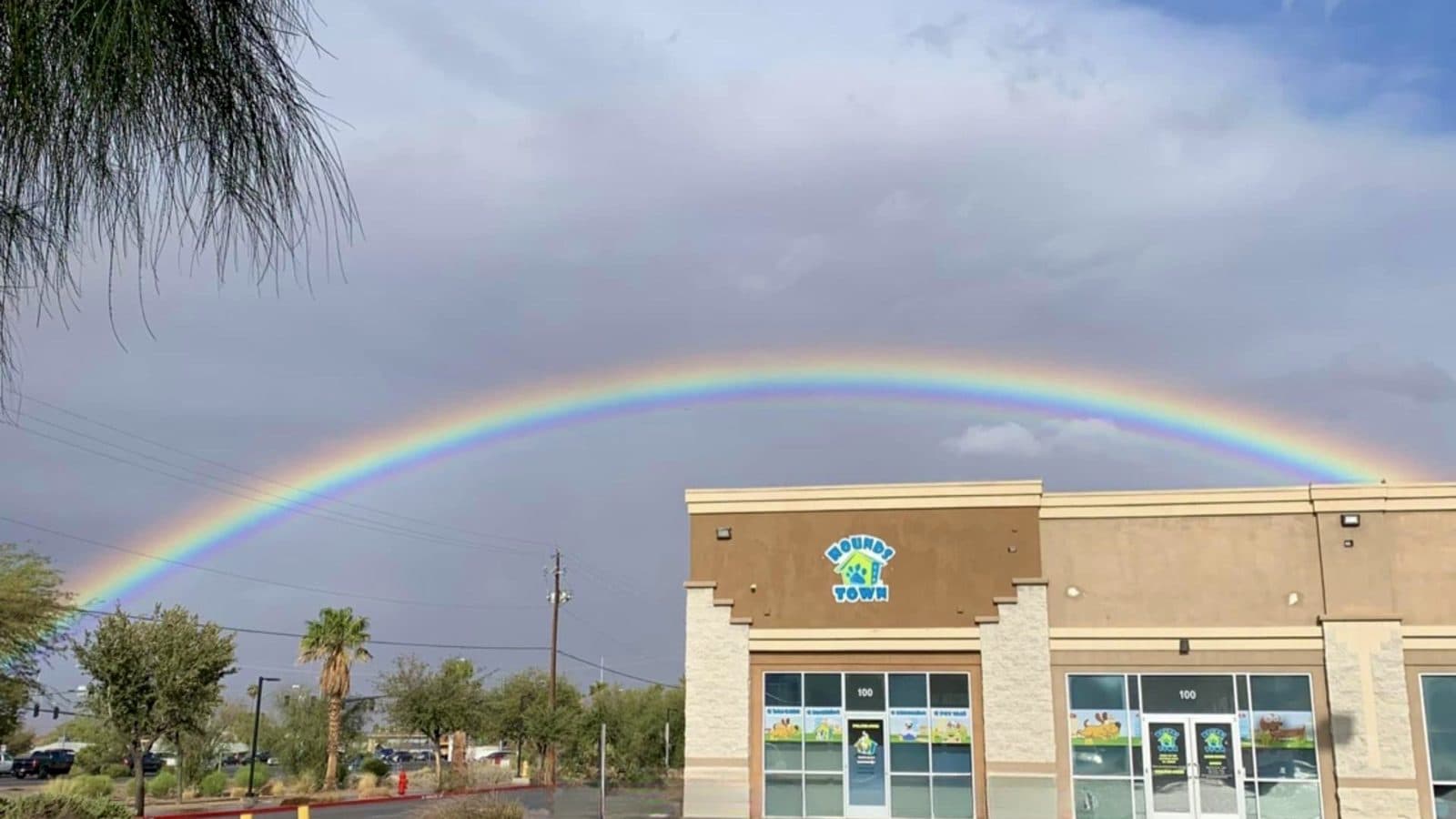 Hounds Town - Henderson — Childcare & Schools photo 1 of 5