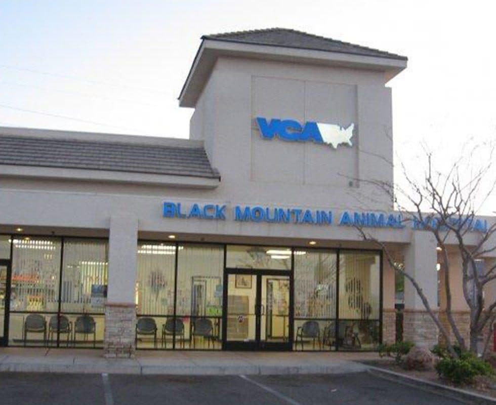 VCA Black Mountain Animal Hospital — Pet Services photo 1 of 5
