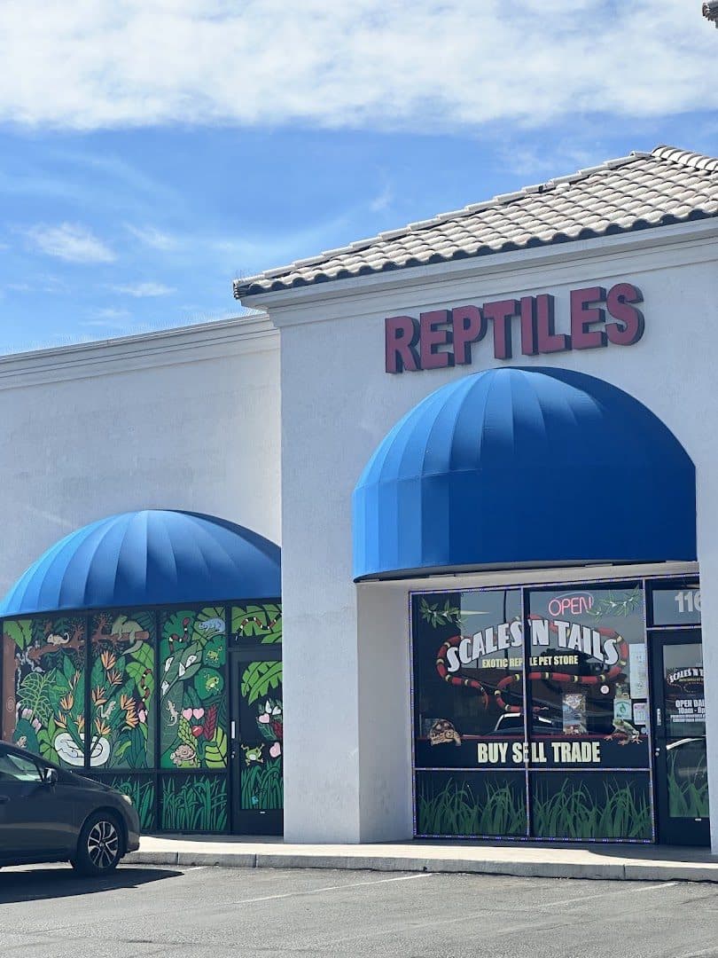 Scales 'N Tails North Las Vegas — Retail & Boutiques photo 1 of 5