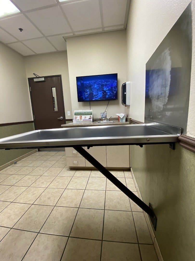 Ann Road Animal Hospital — Pet Services photo 1 of 5