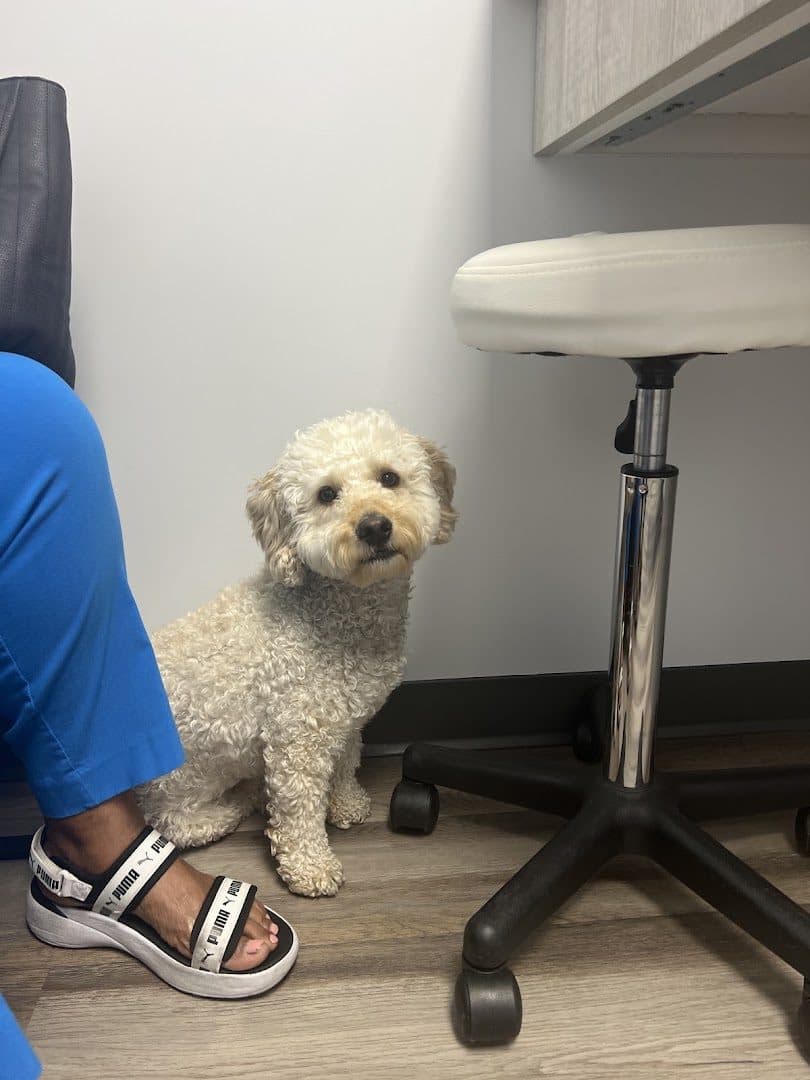 Highlands Animal Care — Pet Services photo 1 of 5