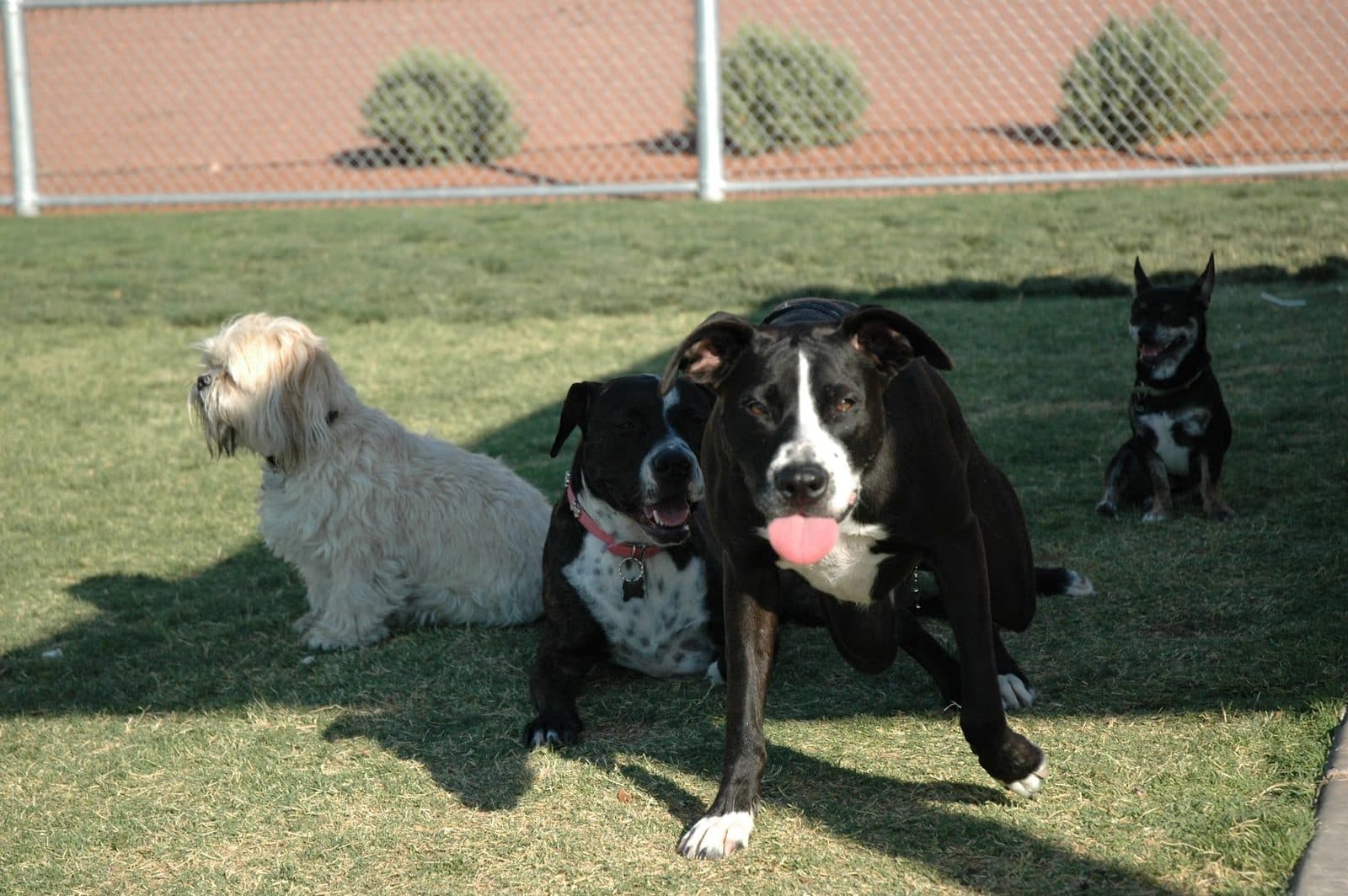 Paseo Vista Park — Family Fun & Recreation photo 1 of 5