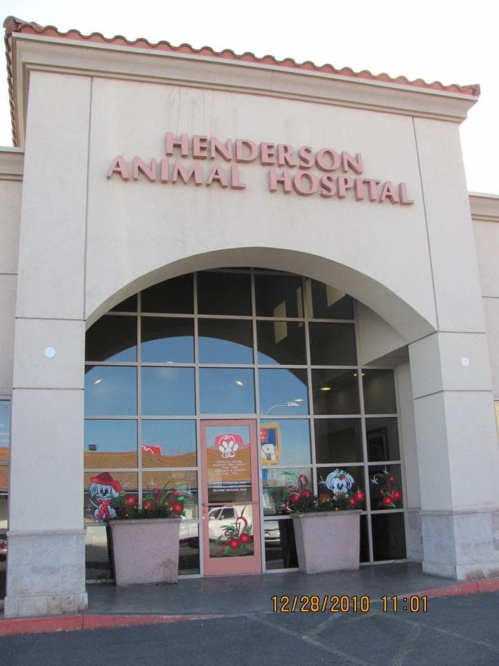 Henderson Animal Hospital — Pet Services photo 1 of 5