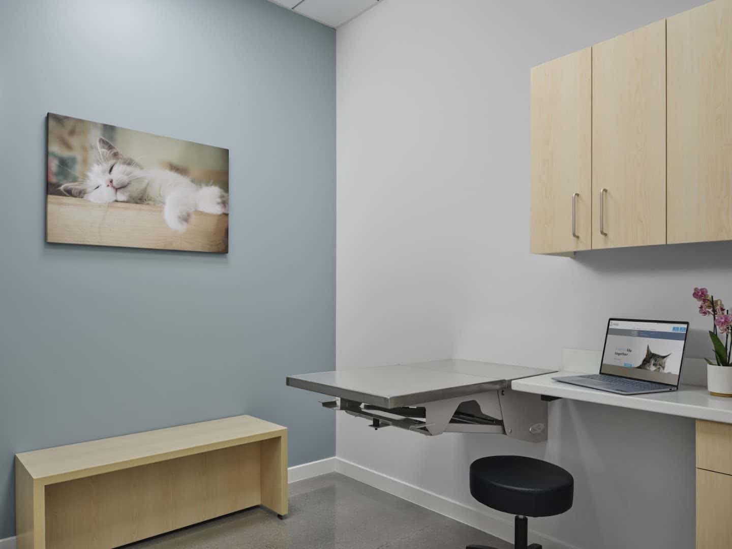 Majestic Park Animal Hospital — Family Fun & Recreation photo 2 of 5