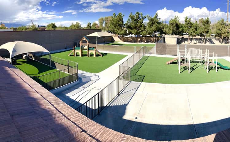 Tails Pet Resort