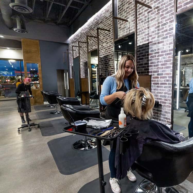 The Hair Standard